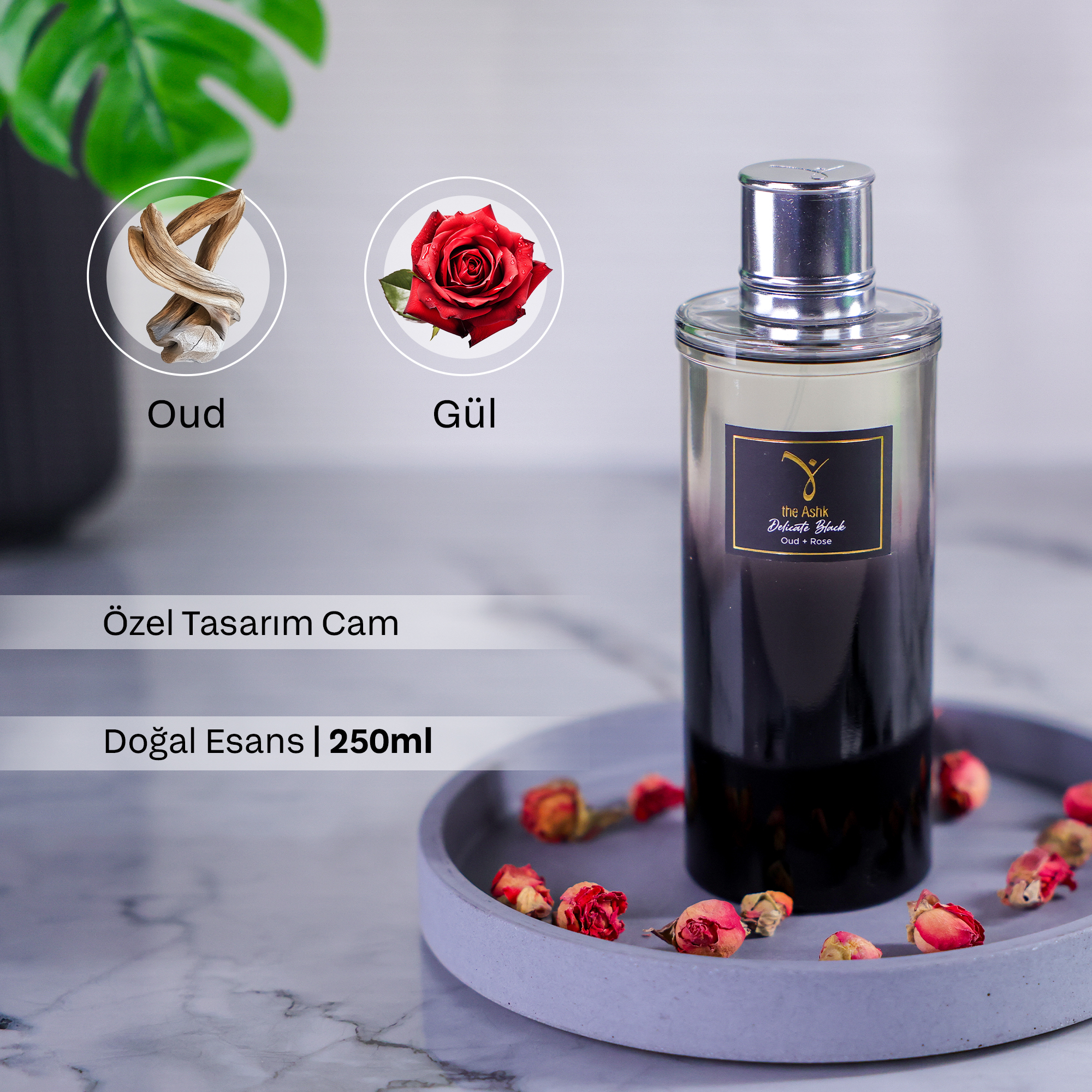 Delicate Black Kolonya 250ml - Görsel 2